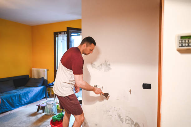 Best Professional Mold Removal  in Nsfield Center, MA
